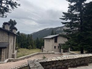 IMG_0354